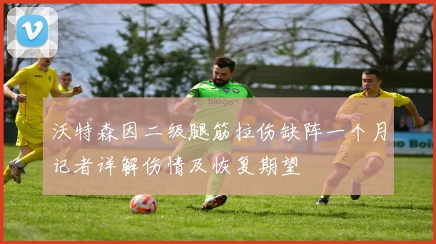 沃特森因二级腿筋拉伤缺阵一个月记者详解伤情及恢复期望